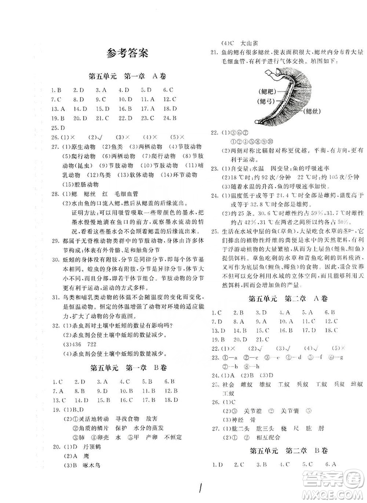 北京教育出版社2019新課堂AB卷單元測(cè)試八年級(jí)生物學(xué)上冊(cè)配人民教育版答案