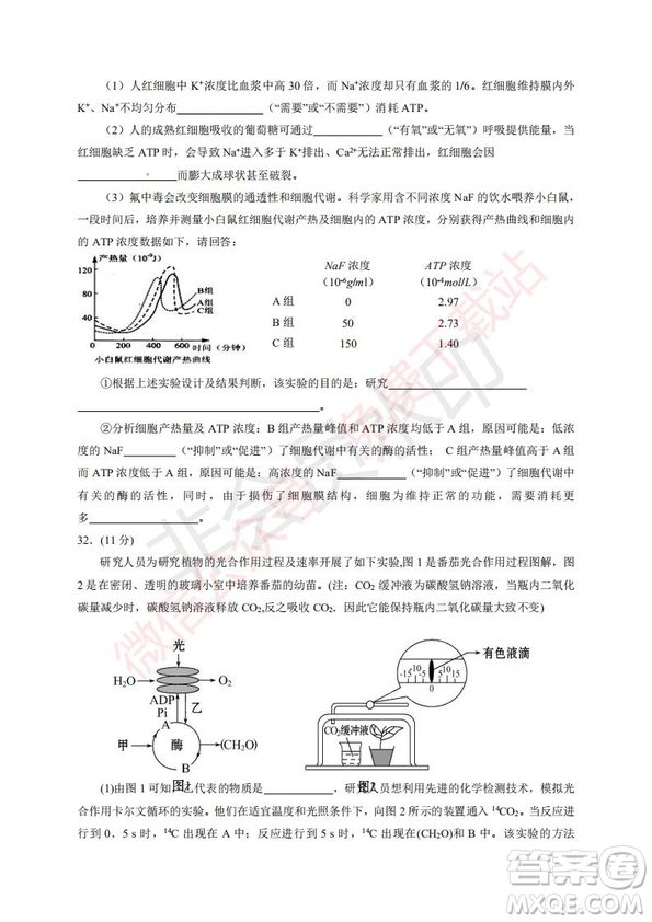 2020屆銀川一中高三年級第二次月考理科綜合試題及答案