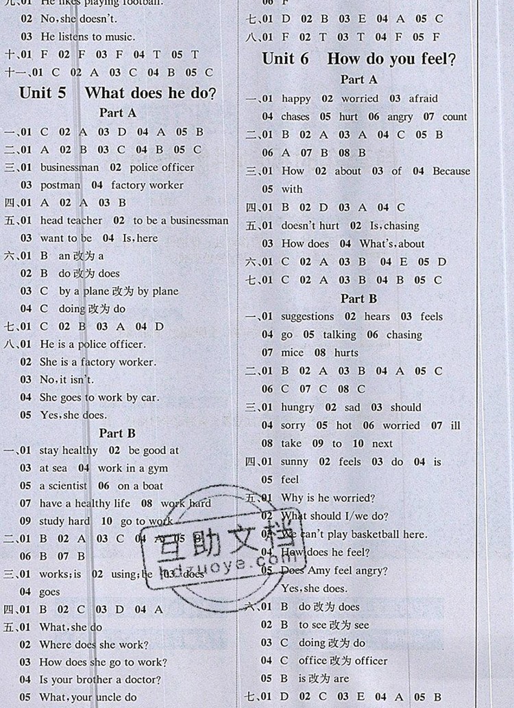 2019年1加1輕巧奪冠課堂直播六年級英語上冊人教PEP版參考答案