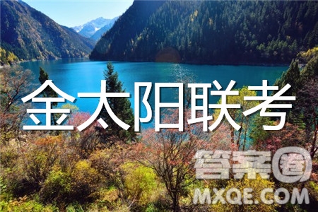 2019-2020年度河南金太陽高三階段性考試三理科數(shù)學(xué)試題及答案