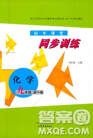 山東大學(xué)出版社2019年初中課堂同步訓(xùn)練化學(xué)九年級(jí)全一冊(cè)參考答案