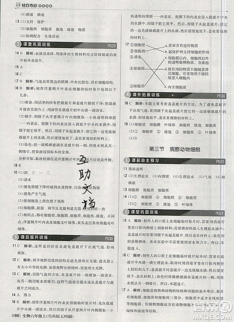 1加1輕巧奪冠優(yōu)化訓(xùn)練六年級(jí)生物上冊(cè)魯科版五四制銀版2019年秋參考答案