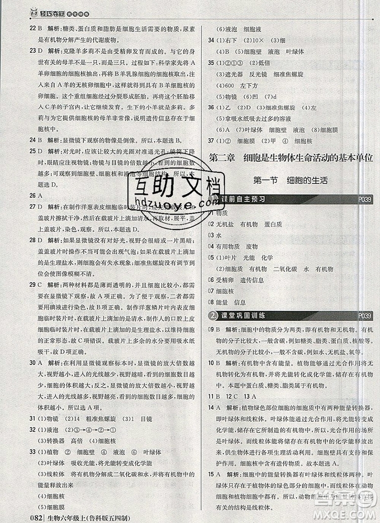 1加1輕巧奪冠優(yōu)化訓(xùn)練六年級(jí)生物上冊(cè)魯科版五四制銀版2019年秋參考答案