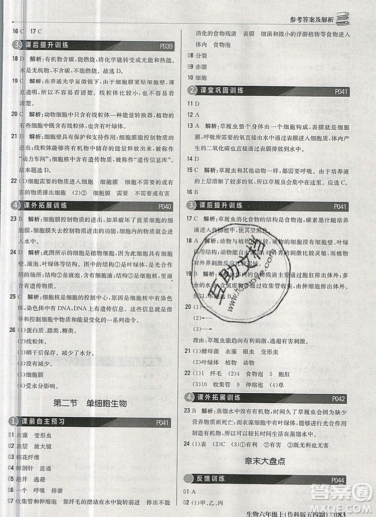 1加1輕巧奪冠優(yōu)化訓(xùn)練六年級(jí)生物上冊(cè)魯科版五四制銀版2019年秋參考答案