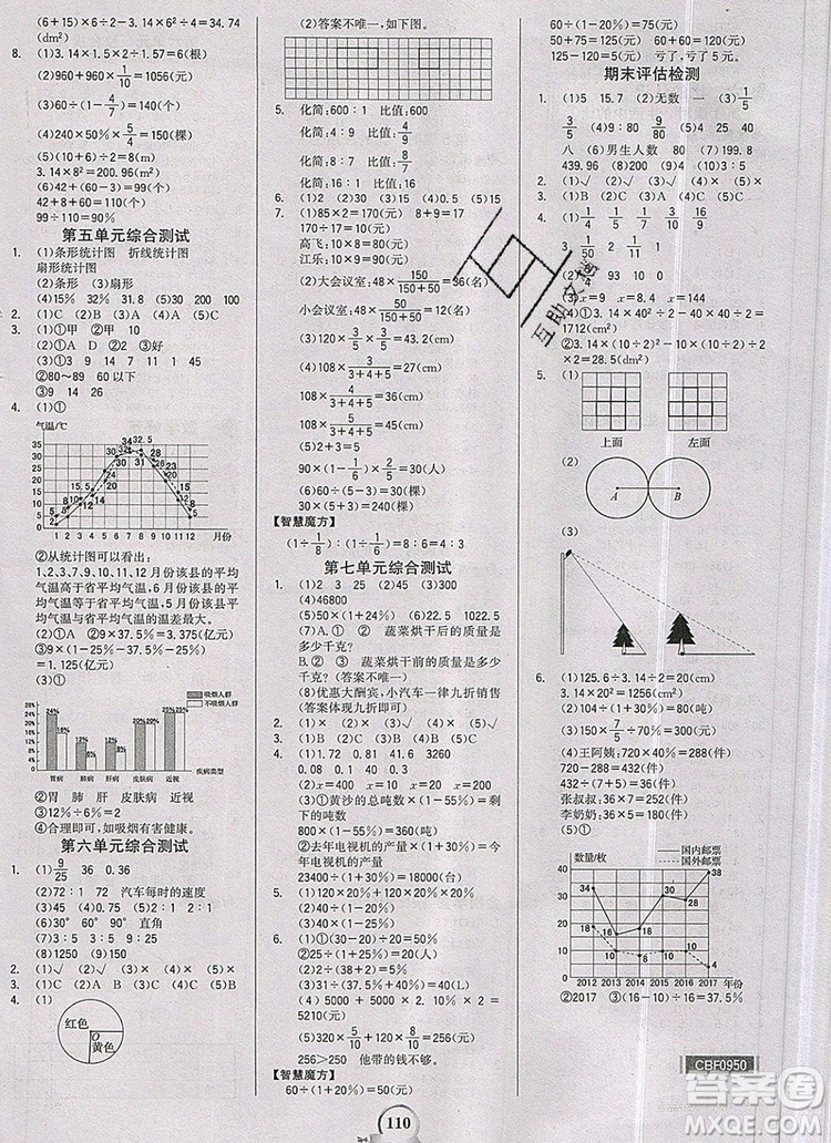 世紀(jì)金榜金榜小博士六年級數(shù)學(xué)上冊北師大版2020年新版參考答案