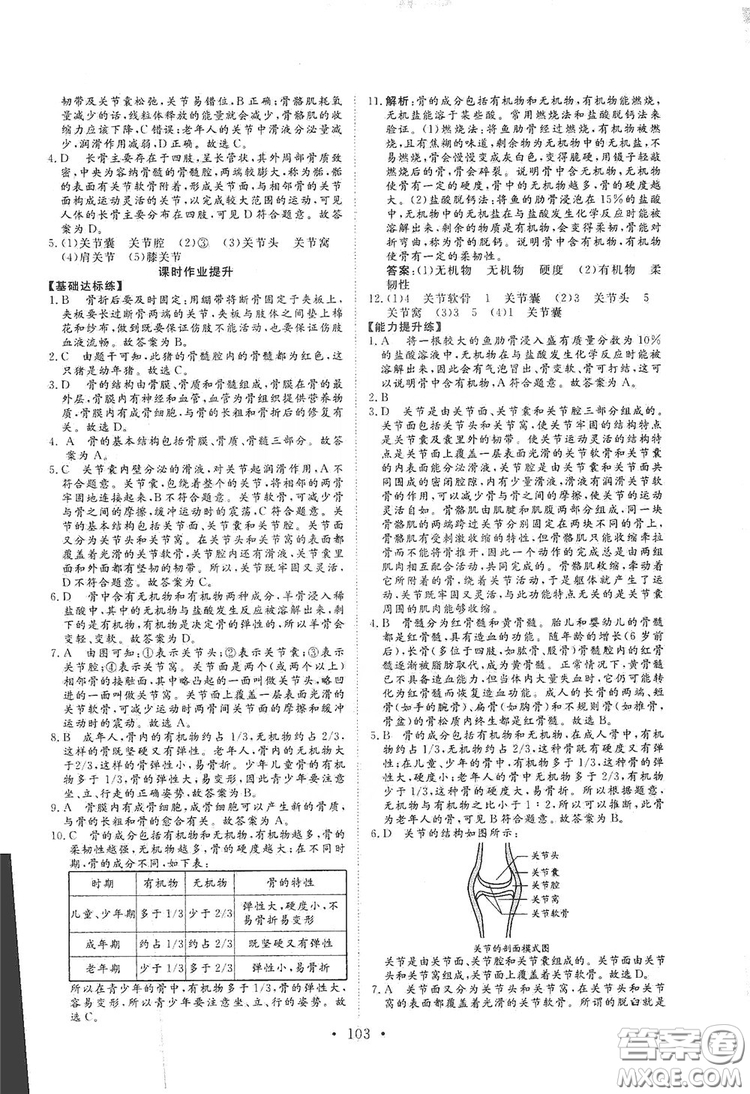 海南出版社2019新課程同步練習冊八年級生物上冊北師大版答案