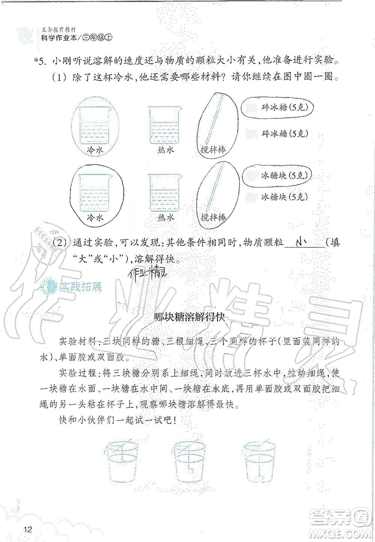 浙江教育出版社2019義務(wù)教育教材科學(xué)作業(yè)本三年級(jí)上冊(cè)人教版答案