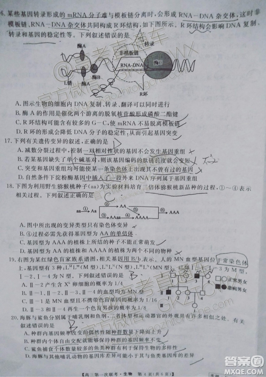 皖南八校2020屆高三第一次聯(lián)考生物試題及參考答案