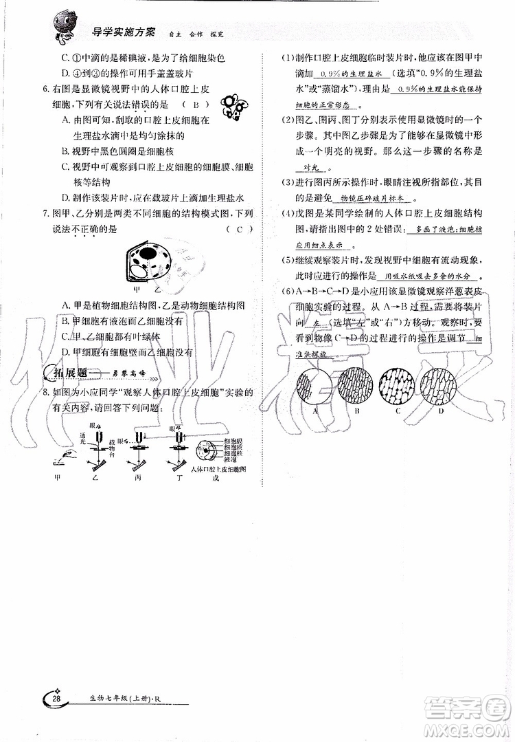 金太陽教育2019年金太陽導學案生物七年級上冊創(chuàng)新版參考答案