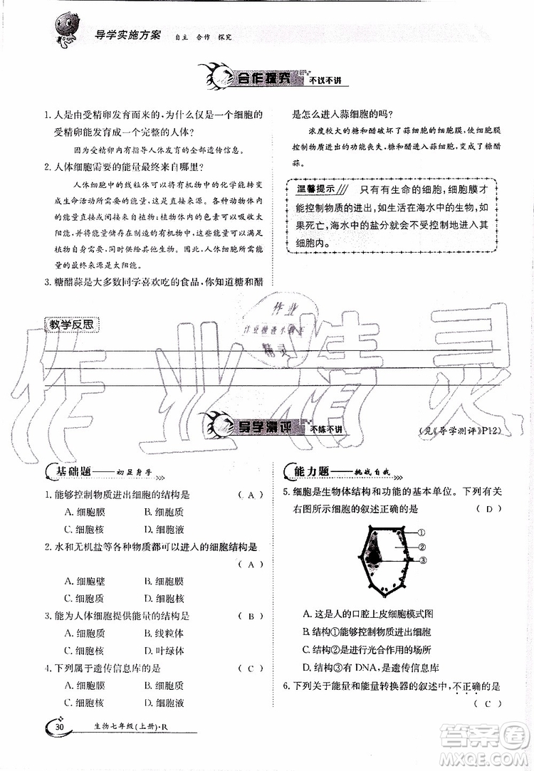 金太陽教育2019年金太陽導學案生物七年級上冊創(chuàng)新版參考答案