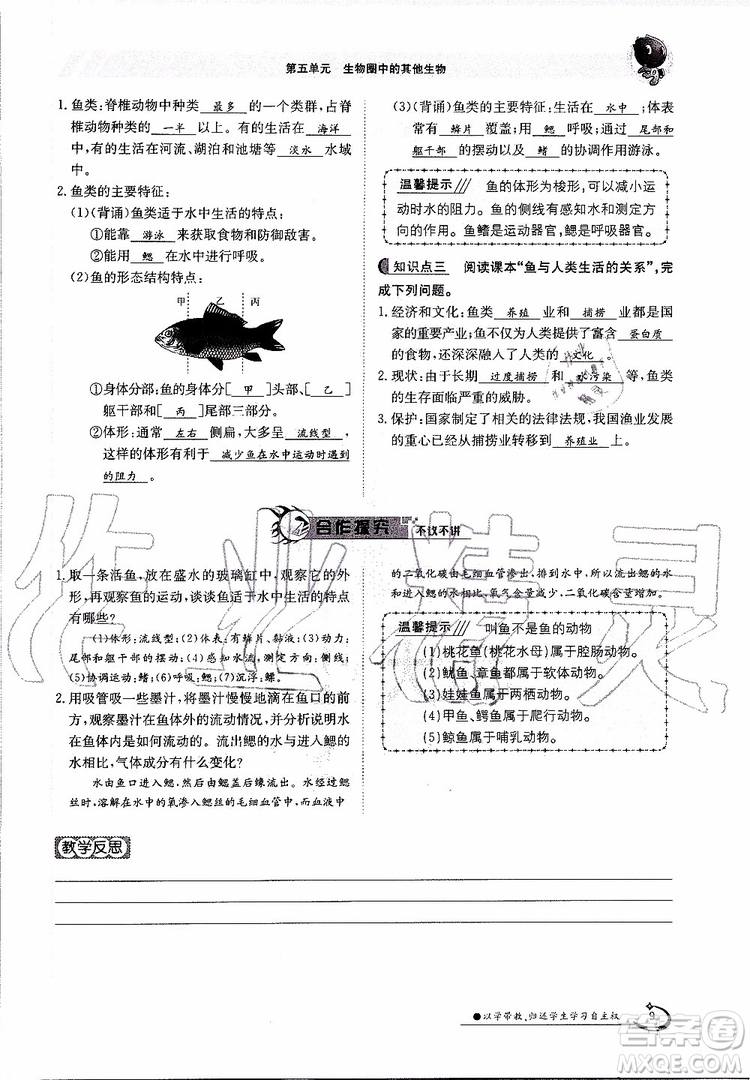 金太陽教育2019年金太陽導學案生物八年級上冊創(chuàng)新版參考答案