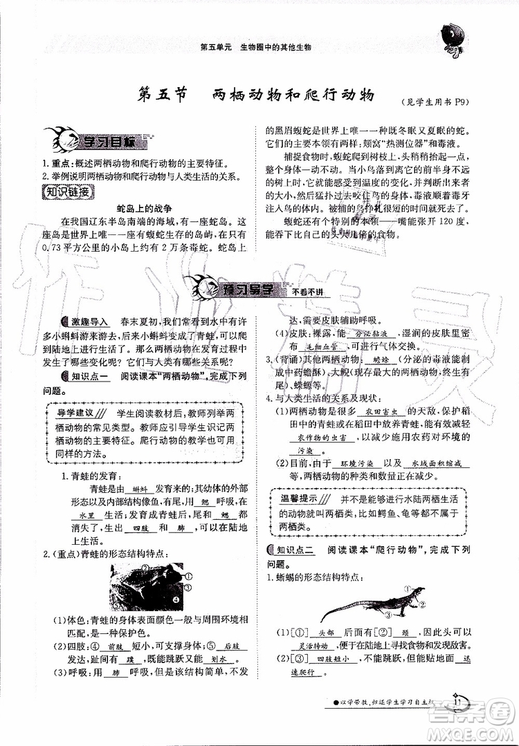 金太陽教育2019年金太陽導學案生物八年級上冊創(chuàng)新版參考答案