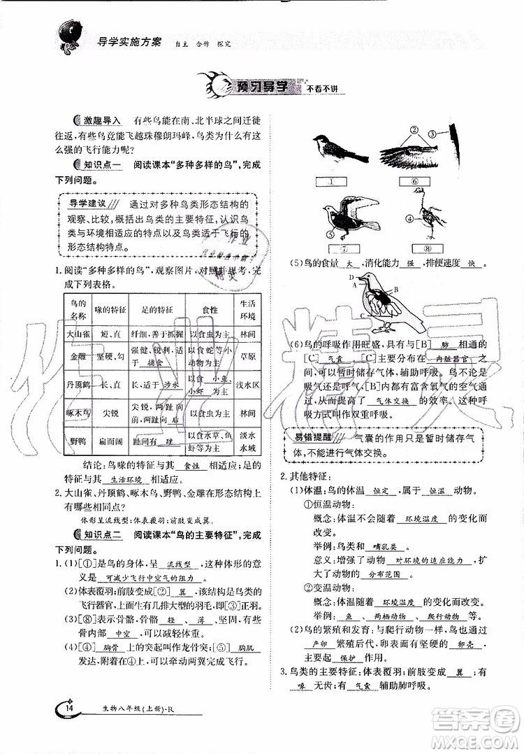 金太陽教育2019年金太陽導學案生物八年級上冊創(chuàng)新版參考答案