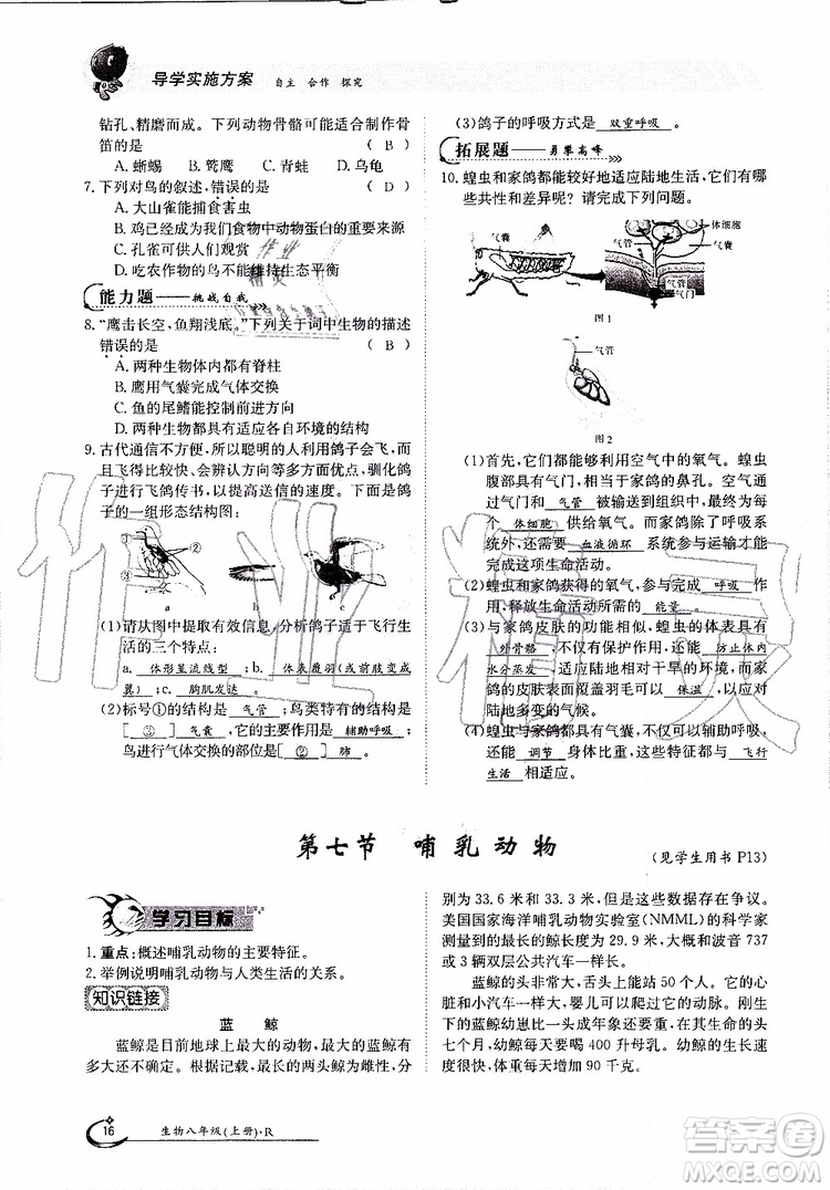 金太陽教育2019年金太陽導學案生物八年級上冊創(chuàng)新版參考答案