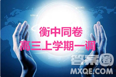 2020屆衡中同卷高三上學期一調(diào)考試理科數(shù)學試題及答案