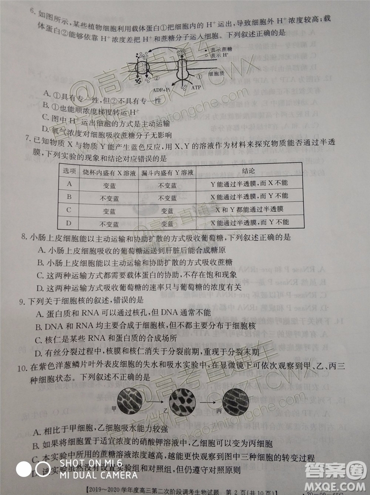 2020屆吉林金太陽高三10月聯(lián)考生物試題及參考答案