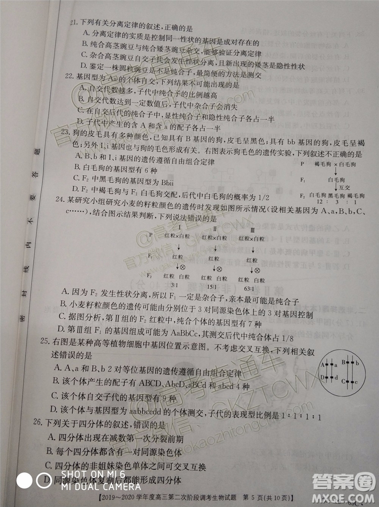 2020屆吉林金太陽高三10月聯(lián)考生物試題及參考答案