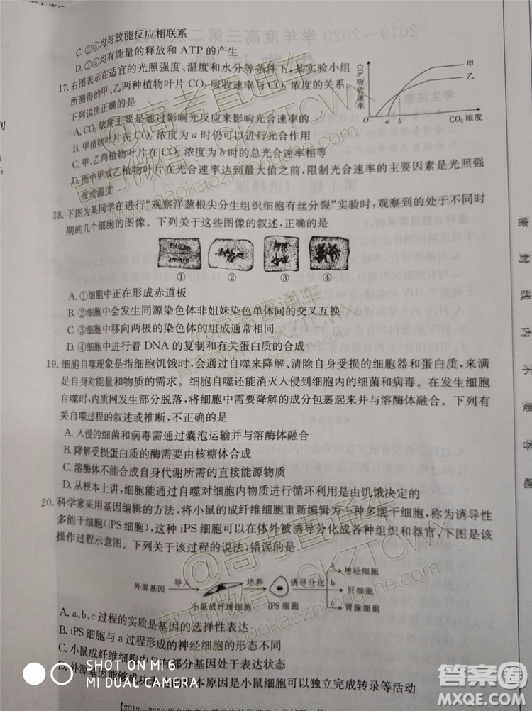 2020屆吉林金太陽高三10月聯(lián)考生物試題及參考答案