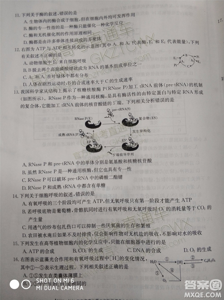 2020屆吉林金太陽高三10月聯(lián)考生物試題及參考答案