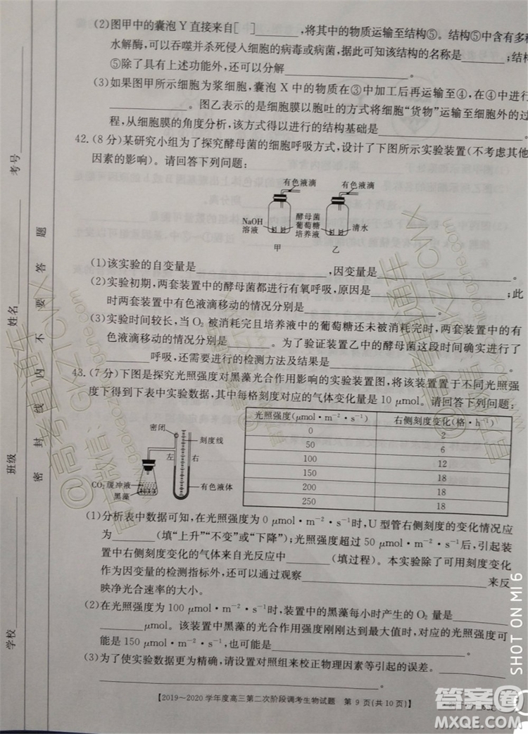 2020屆吉林金太陽高三10月聯(lián)考生物試題及參考答案