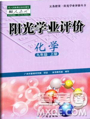 2019年陽光學業(yè)評價化學九年級上冊人教版參考答案