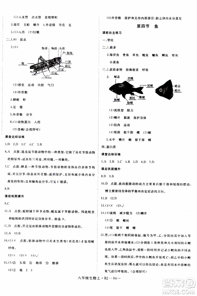 2019秋優(yōu)翼叢書學(xué)練優(yōu)生物八年級(jí)上RJ人教版參考答案