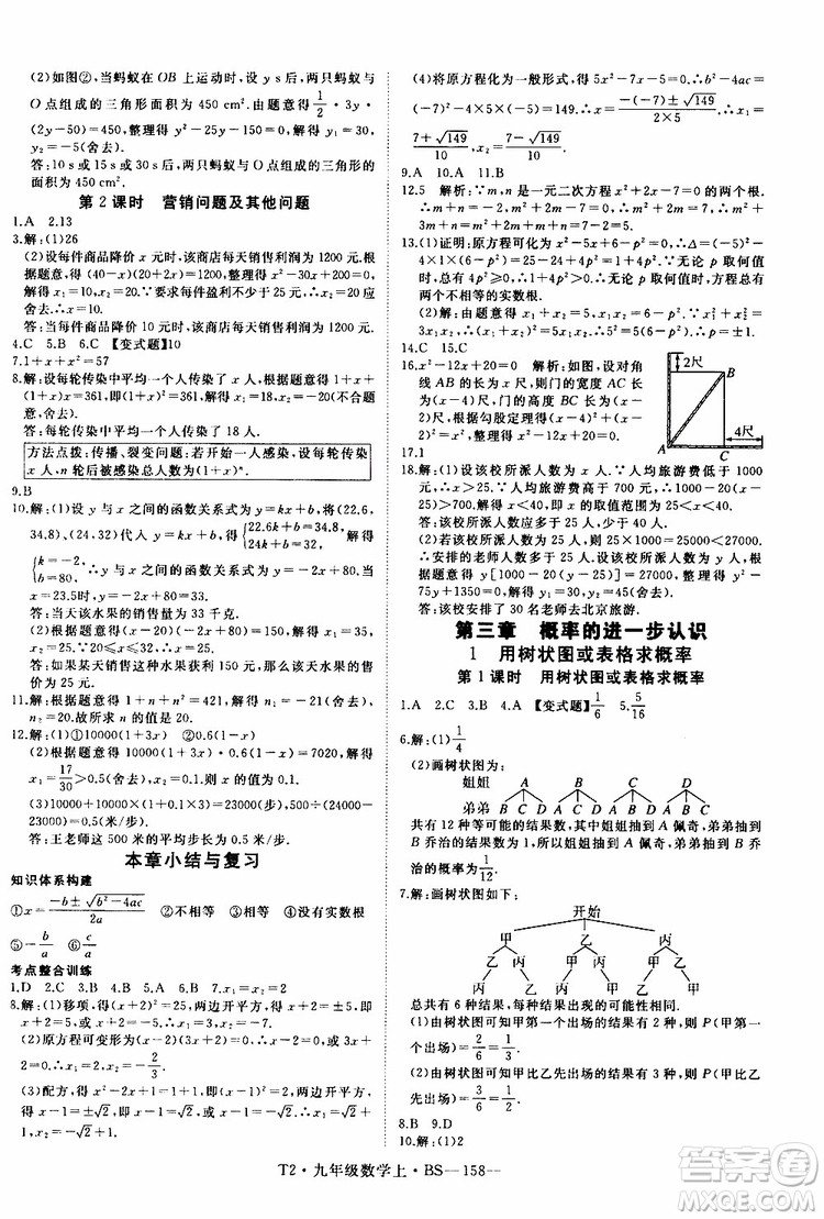 2019秋優(yōu)翼叢書學練優(yōu)數學九年級上BS北師版參考答案