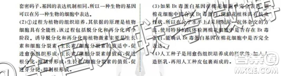 四省八校2020屆高三第一次教學(xué)質(zhì)量檢測(cè)考試?yán)砜凭C合答案