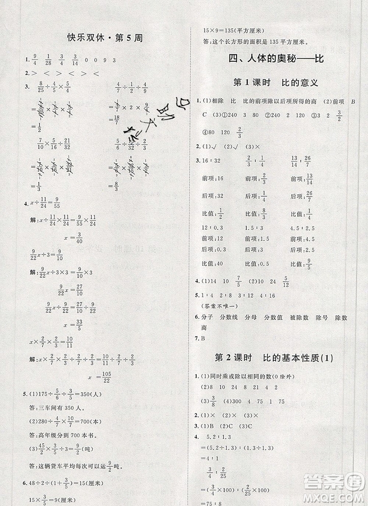 2019秋季陽光計(jì)劃第一步六年級(jí)數(shù)學(xué)上冊(cè)青島版答案