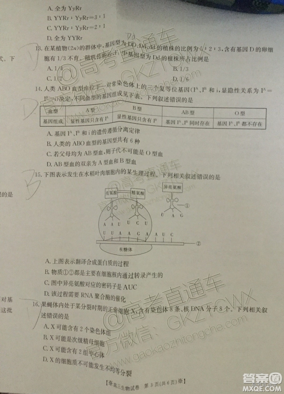 2020屆陜西金太陽高三10月聯(lián)考生物試題及參考答案