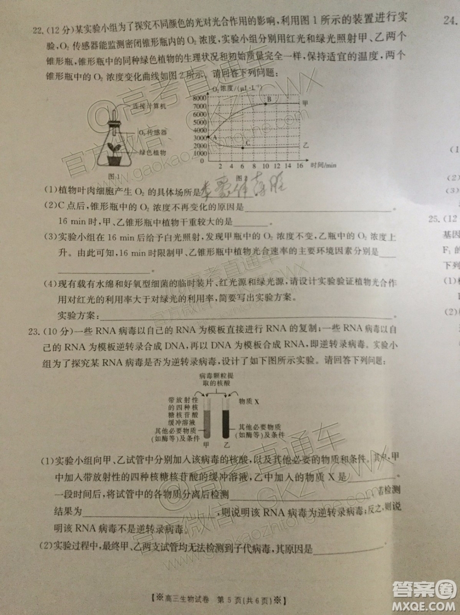 2020屆陜西金太陽高三10月聯(lián)考生物試題及參考答案