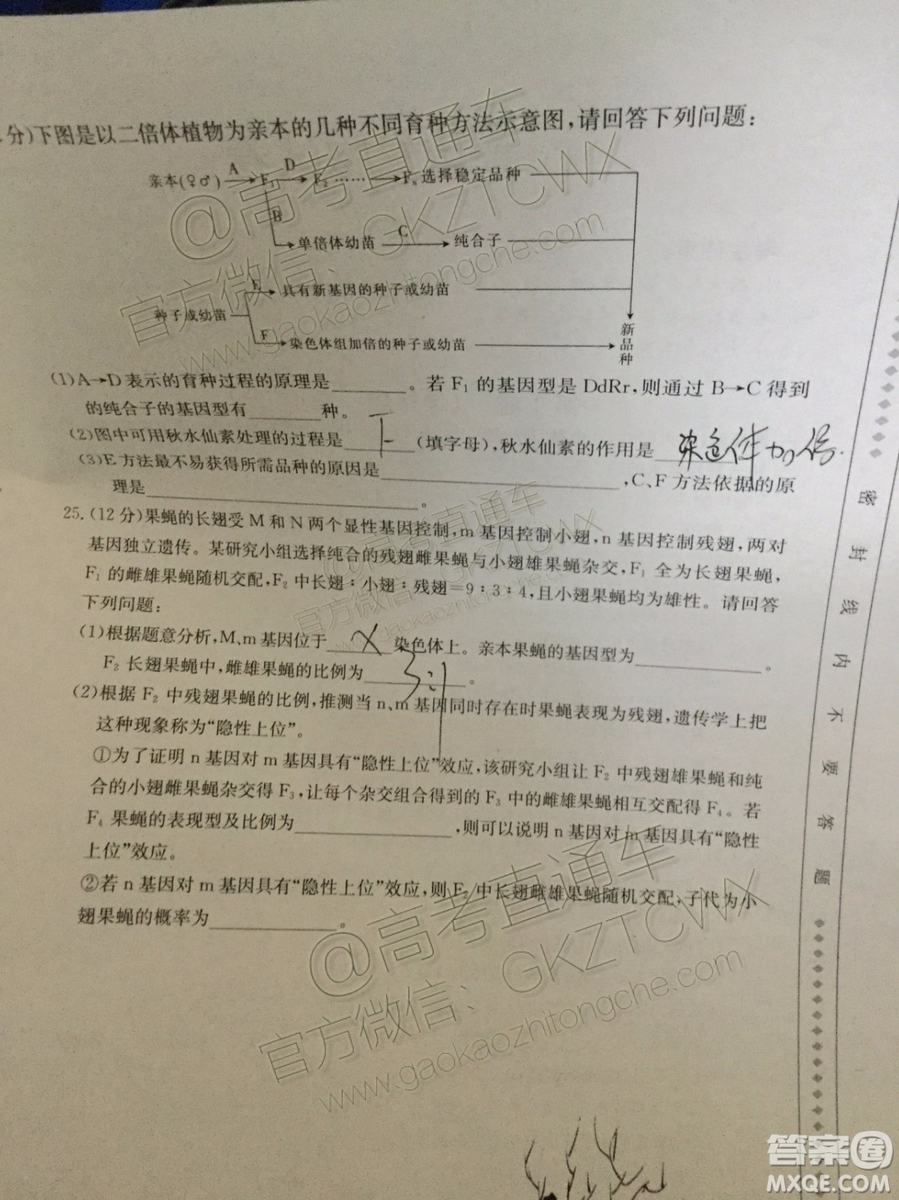 2020屆陜西金太陽高三10月聯(lián)考生物試題及參考答案