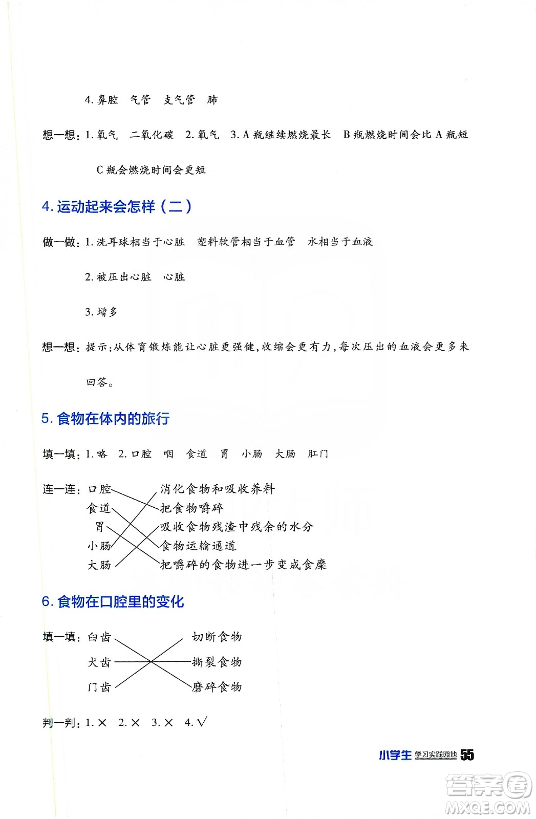 四川民族出版2019社新課標(biāo)小學(xué)生學(xué)習(xí)實踐園地科學(xué)四年級上冊人教版答案