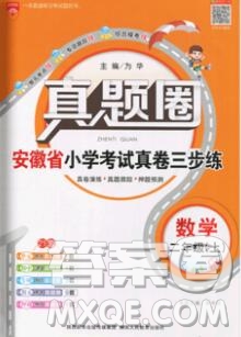 2019年安徽省真題圈小學試卷真卷三步練二年級數(shù)學上冊答案