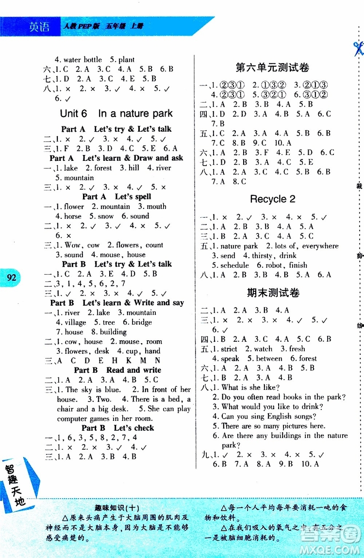 2019年新課程新練習(xí)英語(yǔ)五年級(jí)上冊(cè)PEP人教版參考答案