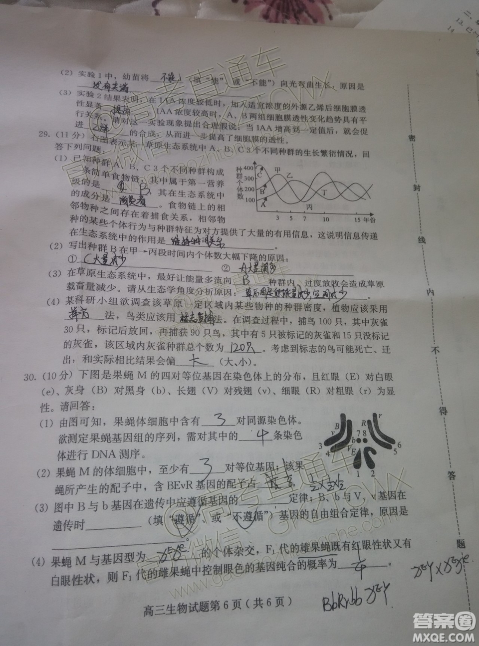 2020屆廊坊保定市高三10月摸底考生物試題及參考答案