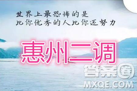 惠州市2020屆高三第二次調研考試理科數(shù)學試題及參考答案