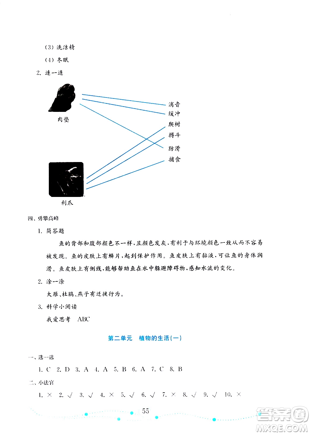 山東教育出版社2019年金版小學(xué)科學(xué)試卷金鑰匙三年級上冊參考答案