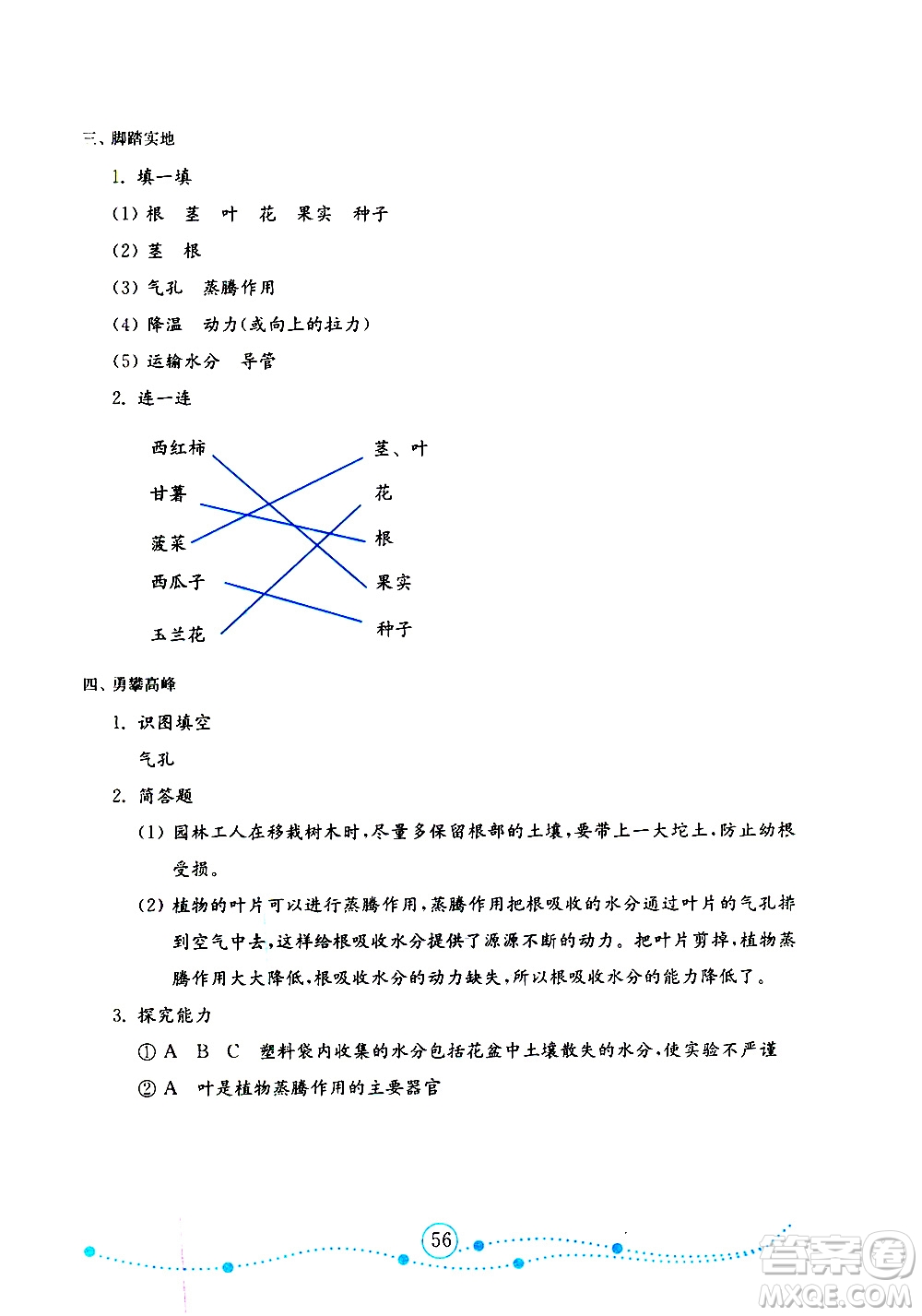 山東教育出版社2019年金版小學(xué)科學(xué)試卷金鑰匙三年級上冊參考答案