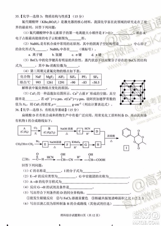 綿陽市高中2017級第一次診斷性考試理科綜合試題及答案