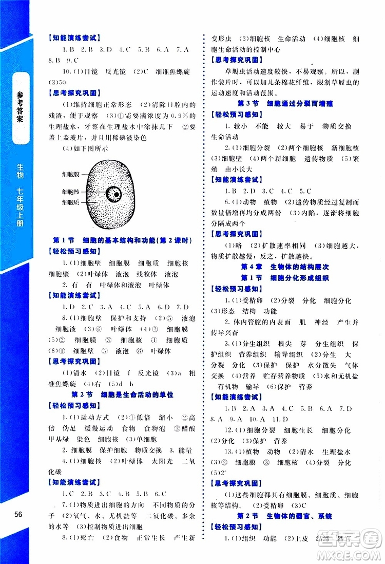 2019年課內(nèi)課外直通車生物七年級(jí)上冊(cè)福建專版北師大版參考答案