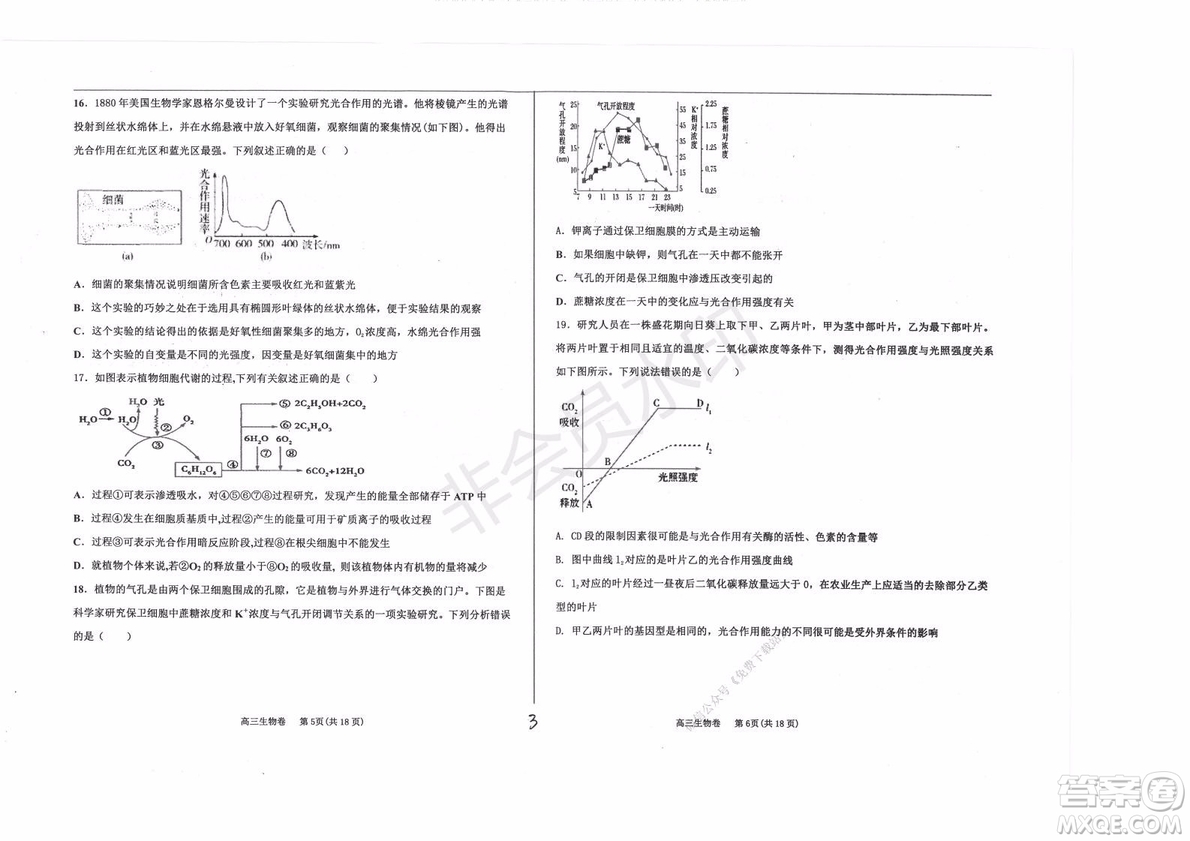 2020屆衡水中學(xué)高三年級上學(xué)期期中考試生物試題及答案