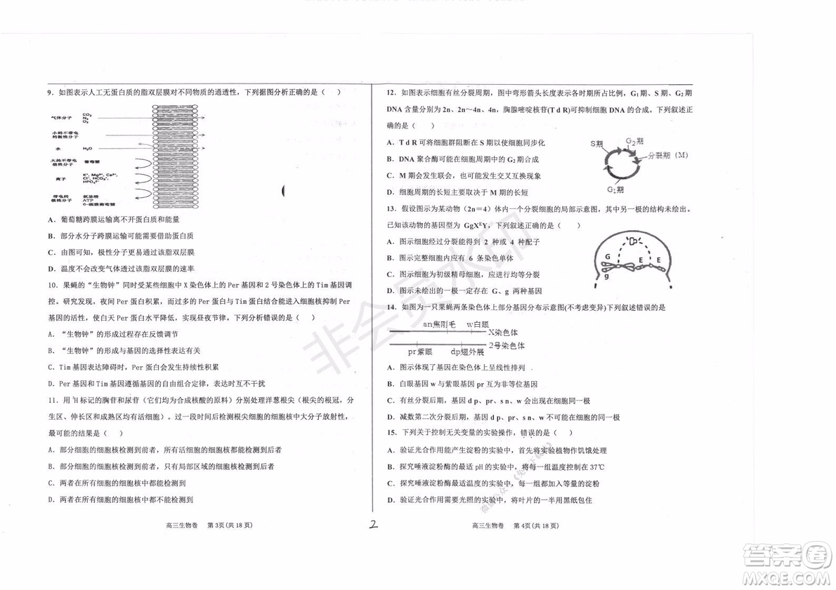 2020屆衡水中學(xué)高三年級上學(xué)期期中考試生物試題及答案