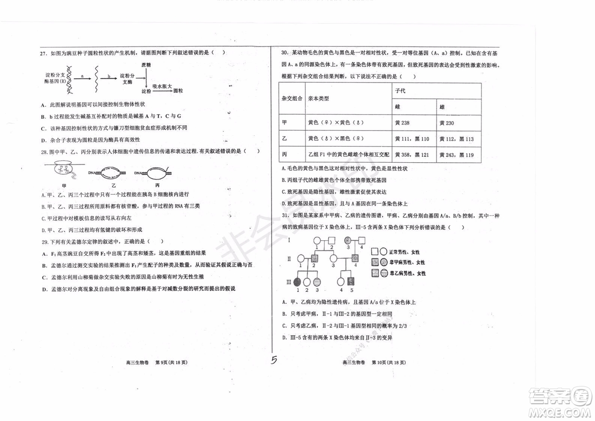 2020屆衡水中學(xué)高三年級上學(xué)期期中考試生物試題及答案