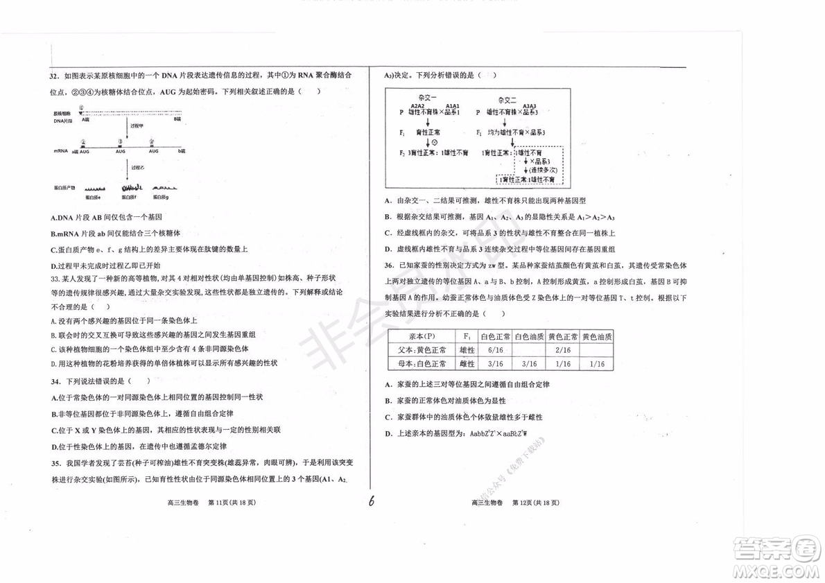 2020屆衡水中學(xué)高三年級上學(xué)期期中考試生物試題及答案