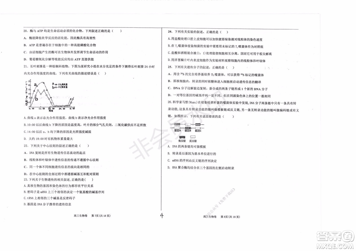 2020屆衡水中學(xué)高三年級上學(xué)期期中考試生物試題及答案