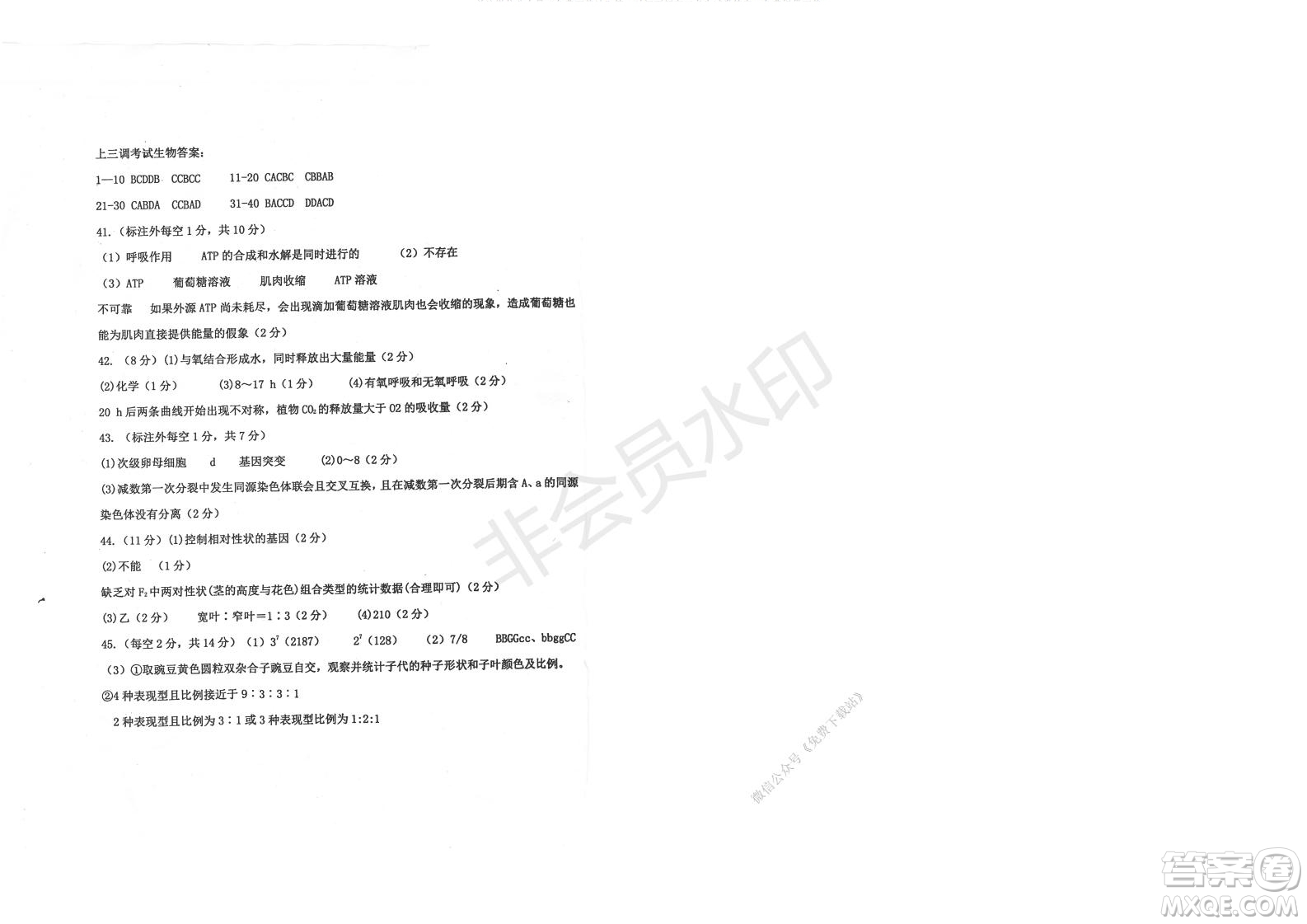 2020屆衡水中學(xué)高三年級上學(xué)期期中考試生物試題及答案