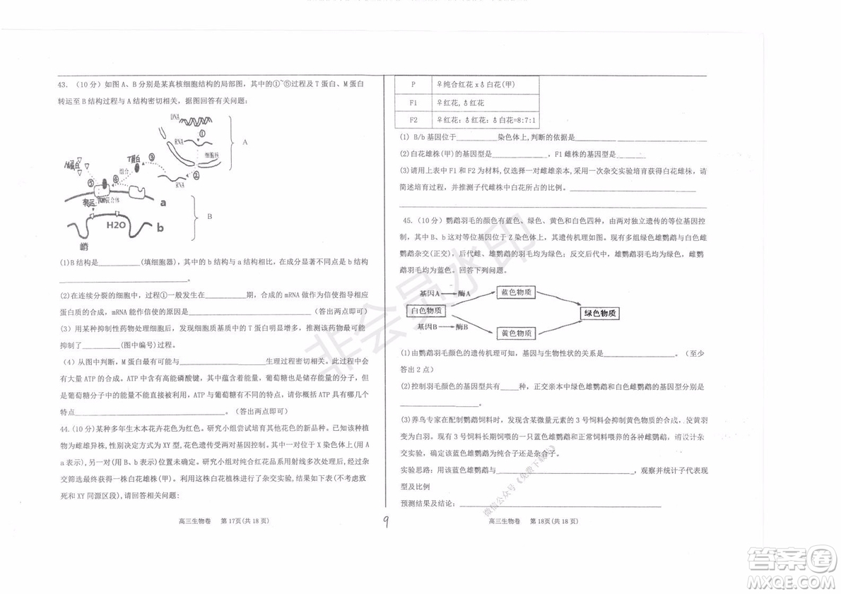 2020屆衡水中學(xué)高三年級上學(xué)期期中考試生物試題及答案