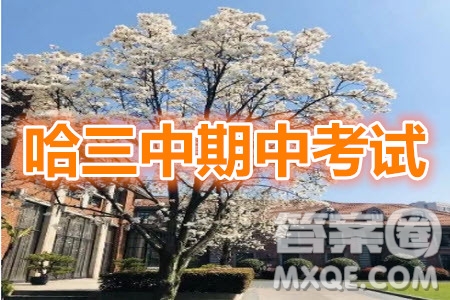 哈三中2019-2020學(xué)年度高三上期中考試文科數(shù)學(xué)試卷及答案