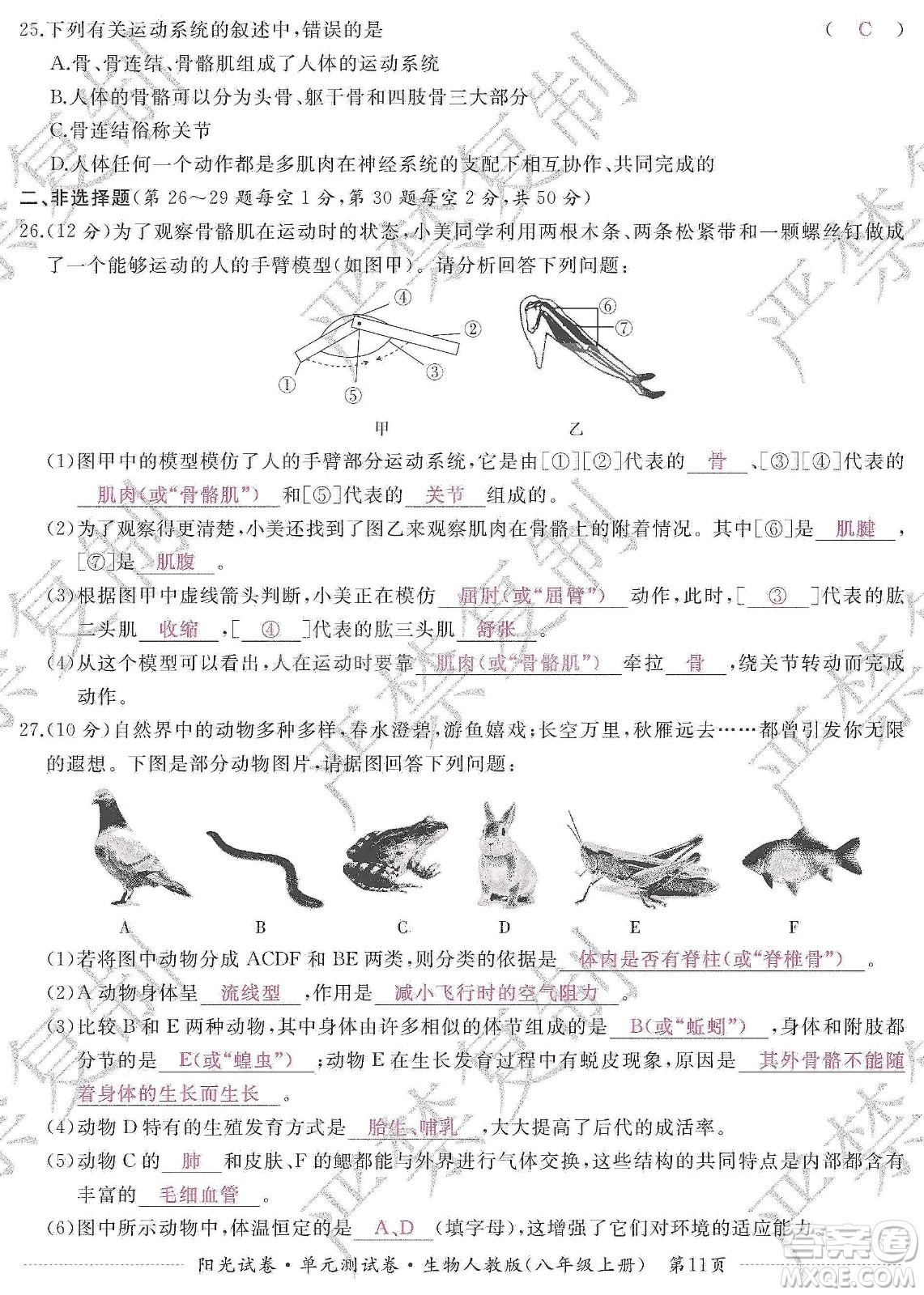 江西高校出版社2019陽光試卷單元測試卷八年級生物上冊人教版答案